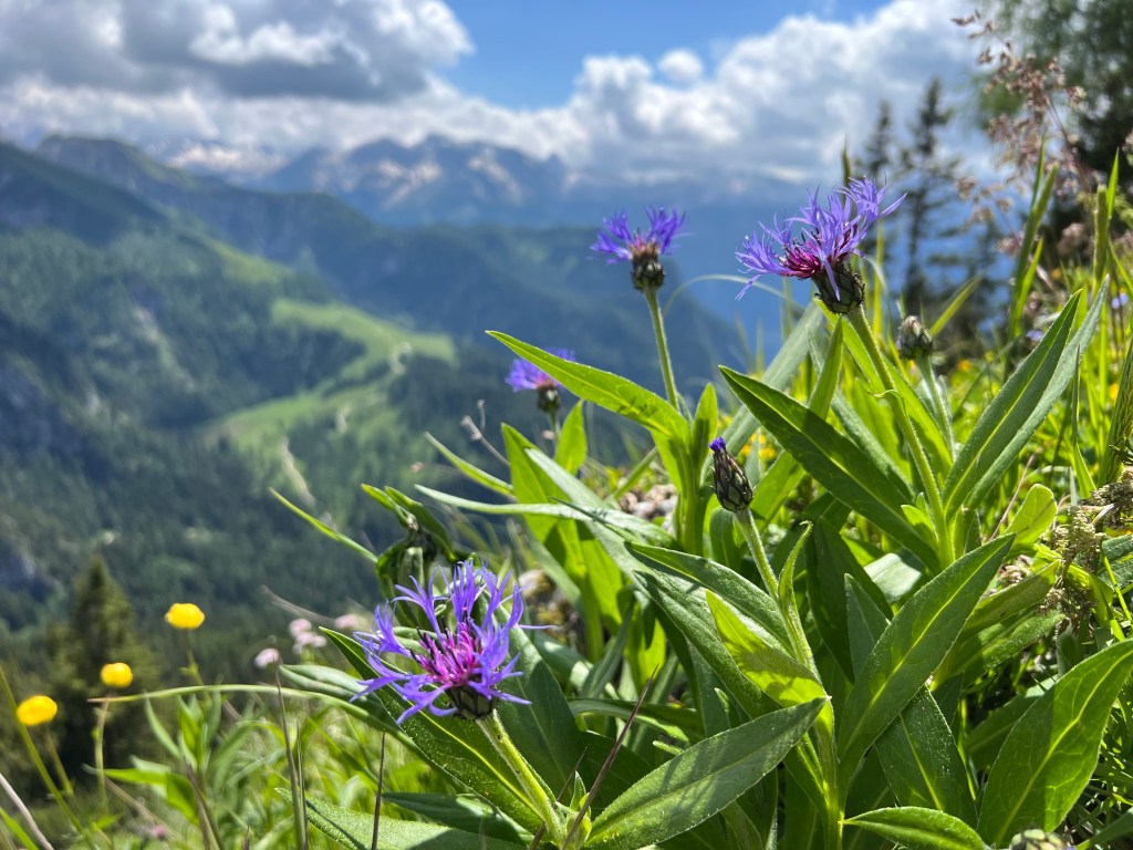 Jennerbahn Upper Station