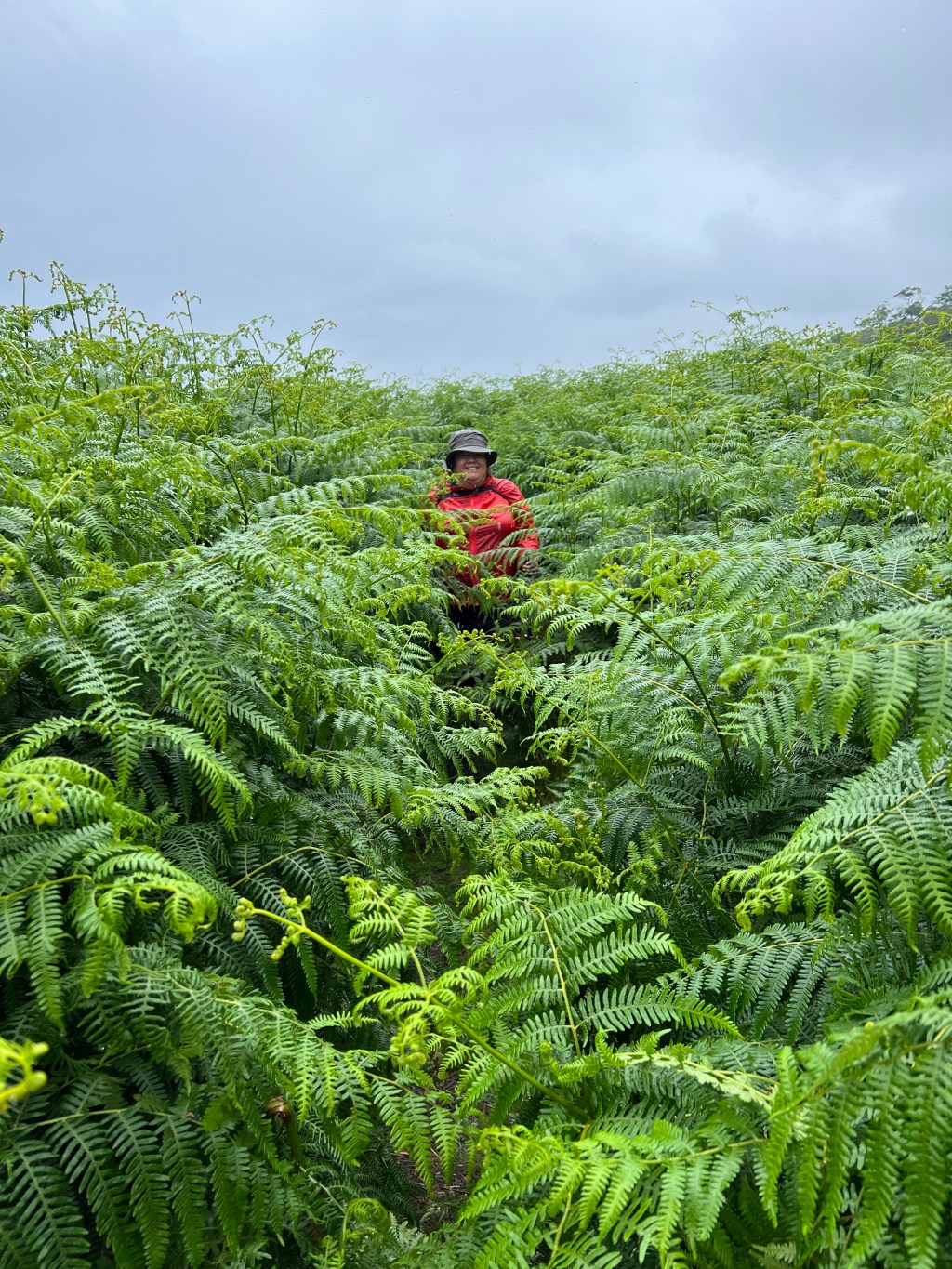 Arran Coastal Way: Sannox to&nbsp;Lochranza