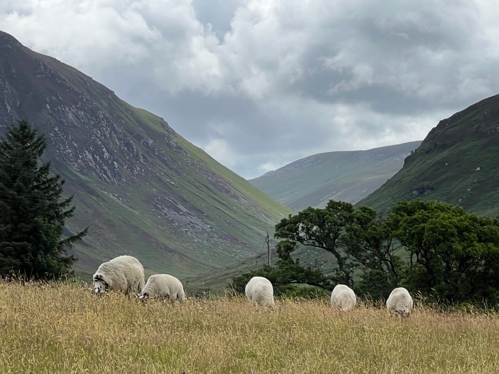 Arran Coastal Way: Lochranza to&nbsp;Imachar