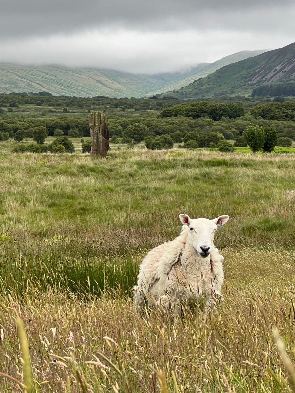 Arran Coastal Way: Machrie Moor to&nbsp;Blackwaterfoot